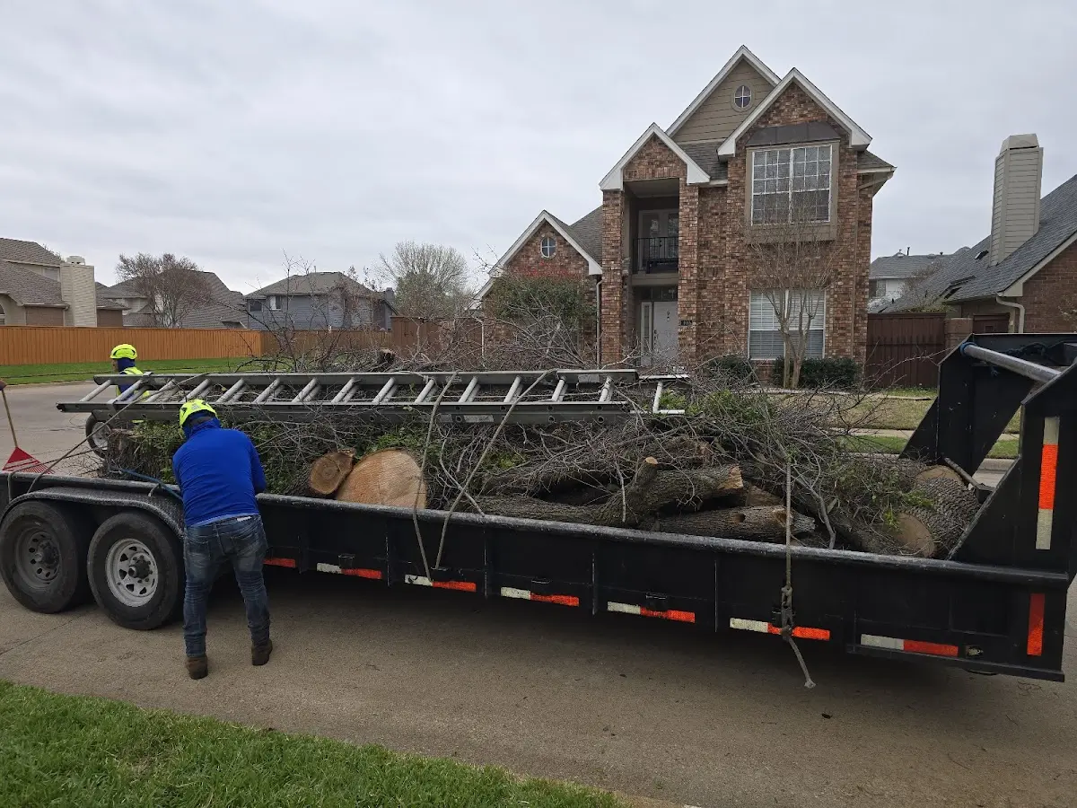 Expert Tree Fertilization with proper safety equipment in Rothbury